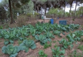 Country house with land for sale on España, Beas, ref: TR356614 photo