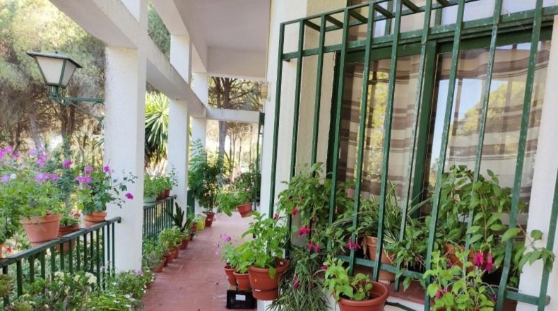 Huelva - Beas - 10000m2