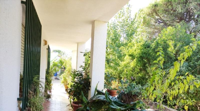 Huelva - Beas - 10000m2