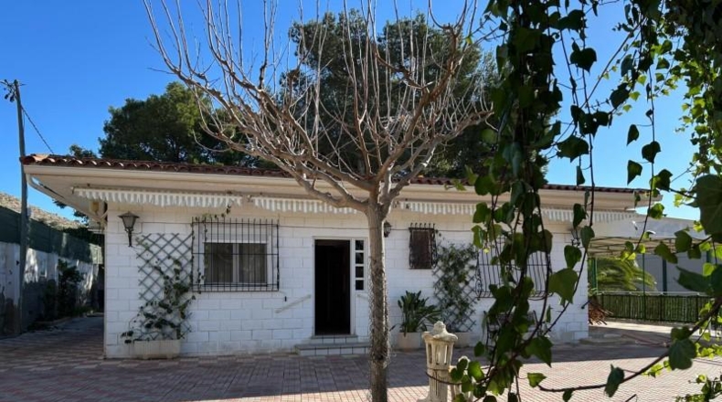 Alicante - Dolores - 2000m2