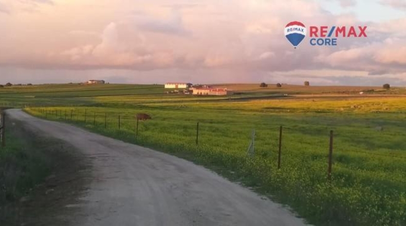 Caceres - Brozas - 65000m2