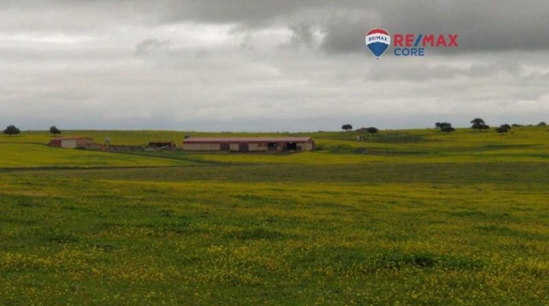 Caceres - Brozas - 65000m2