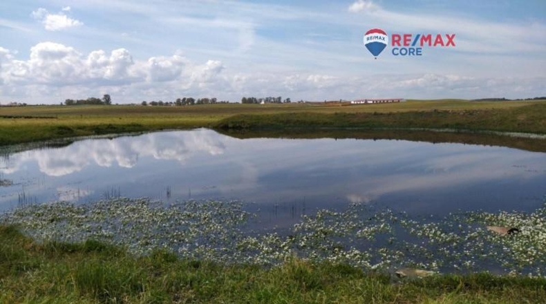 Caceres - Brozas - 65000m2