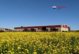 Brozas 65000&nbsp;м²
