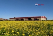 Non-developable land for sale on España, Brozas, ref: TR369283 photo
