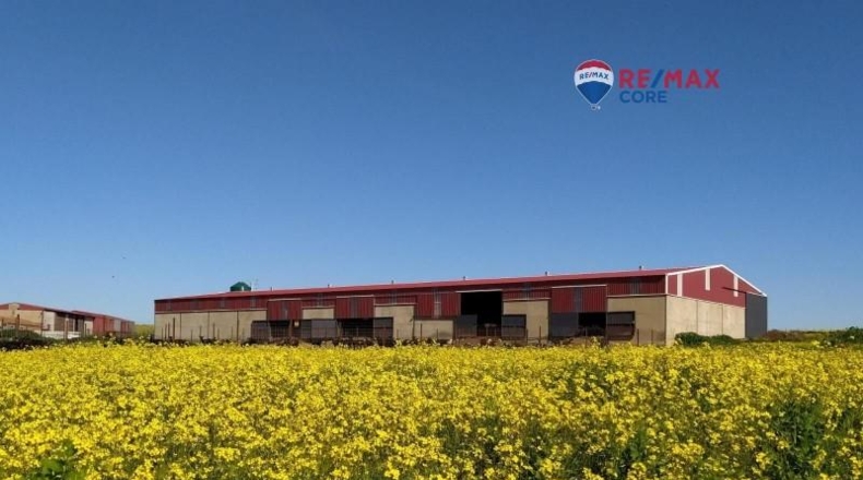 Caceres - Brozas - 65000m2