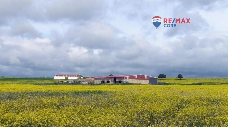 Caceres - Brozas - 65000m2