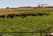 Non-developable land for sale on España, Brozas, ref: TR369283 photo