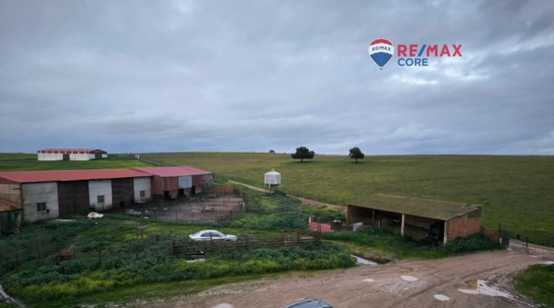 Caceres - Brozas - 65000m2