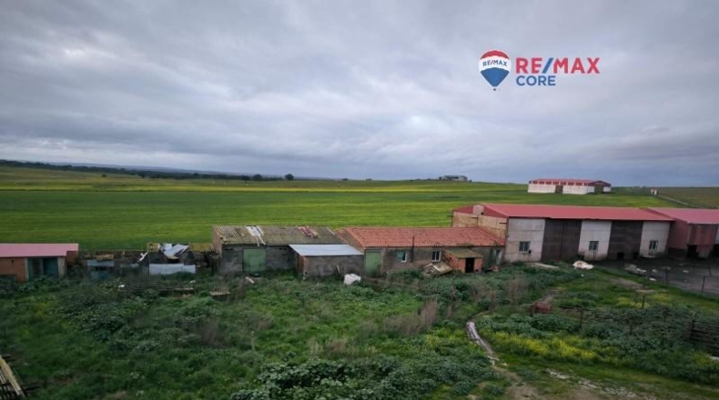 Caceres - Brozas - 65000m2