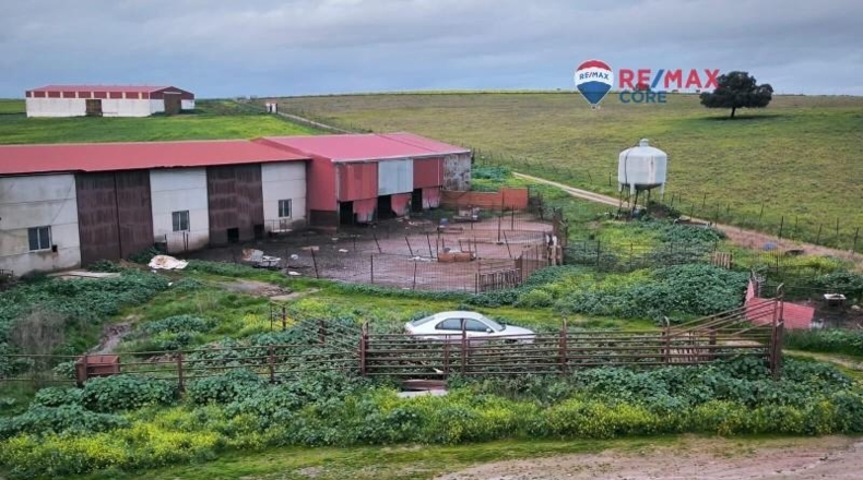 Caceres - Brozas - 65000m2