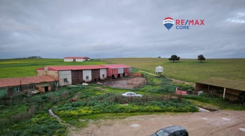 Caceres - Brozas - 65000m2