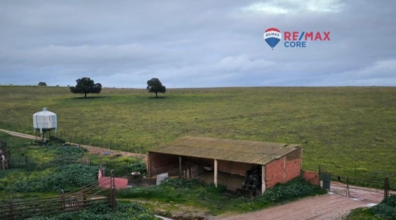Caceres - Brozas - 65000m2