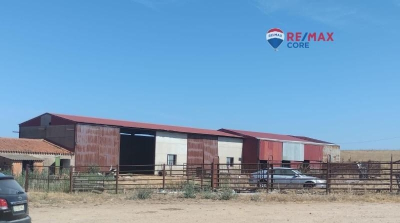Caceres - Brozas - 65000m2
