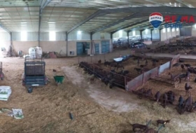 Brozas 65000&nbsp;м²