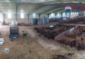 Non-developable land for sale on España, Brozas, ref: TR369283 photo