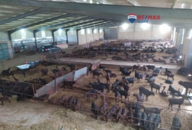 Brozas 65000&nbsp;м²