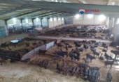 Non-developable land for sale on España, Brozas, ref: TR369283 photo