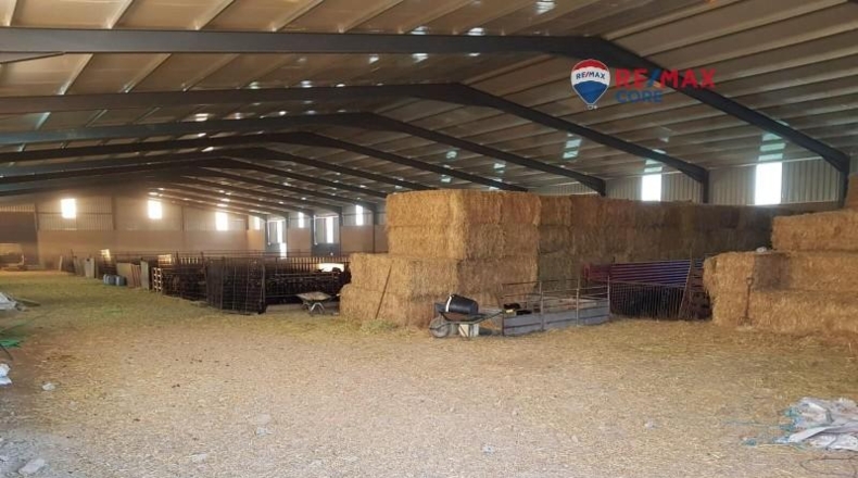 Caceres - Brozas - 65000m2