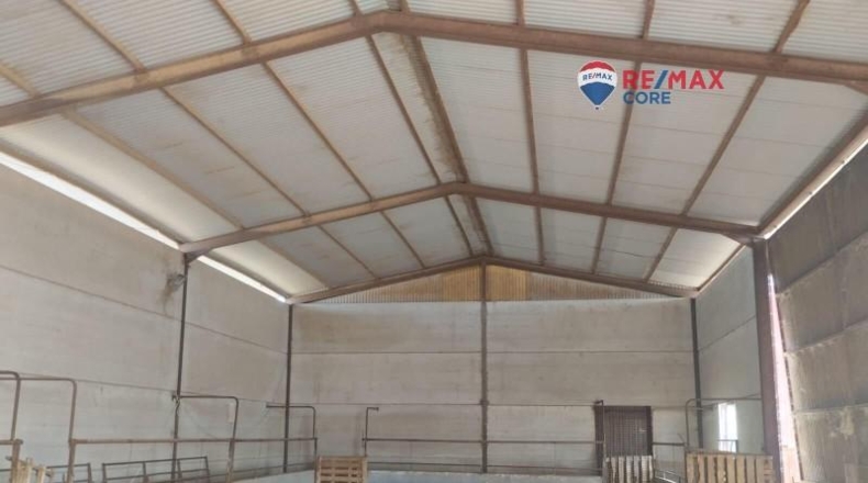 Caceres - Brozas - 65000m2