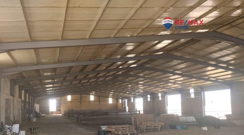 Caceres - Brozas - 65000m2