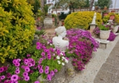 Casa de poble en venda a la España, Maçanet de la Selva, ref.: TR356469 foto