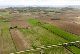 Muro 21000&nbsp;m²