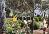 Casa de camp amb terreny en venda a la España, Maçanet de la Selva, ref.: TR193268 foto
