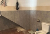Дом с участком на продажу в городе Кордова Фото