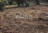 Sòl urbà en venda a la España, Narón, ref.: TR315052 foto