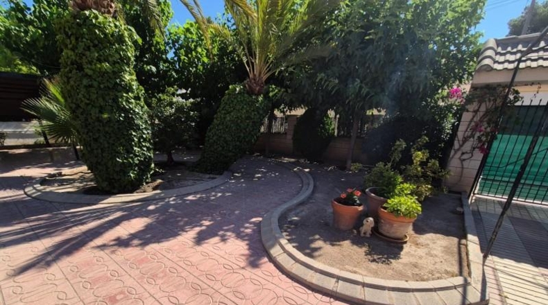 Alicante - Elda - 2000m2