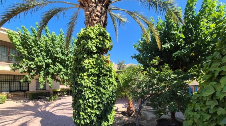 Alicante - Elda - 2000m2
