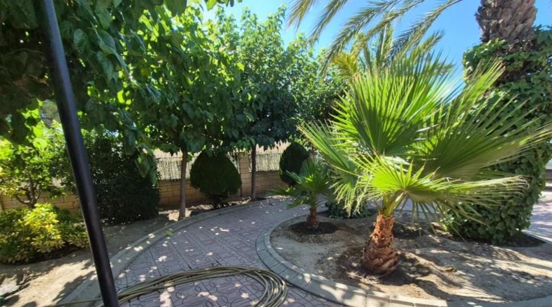 Alicante - Elda - 2000m2