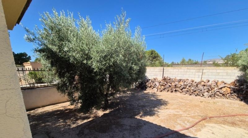 Alicante - Elda - 2000m2