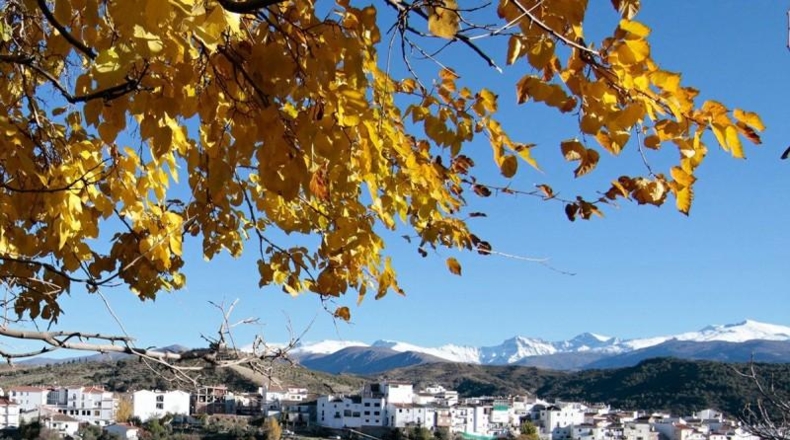 Granada - Huétor de Santillán - 640m2