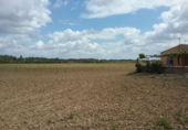 Xalet independent amb terreny en venda a la España, Lobón, ref.: TR245255 foto