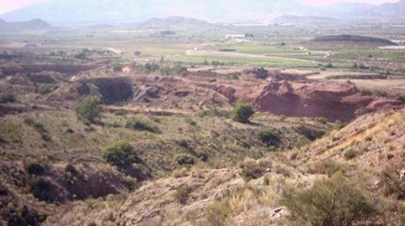 Alicante - Agost - 117797m2