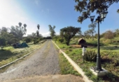Detached villa with land for sale on España, Gibraleón, ref: TR219347 photo
