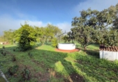 Detached villa with land for sale on España, Gibraleón, ref: TR219347 photo