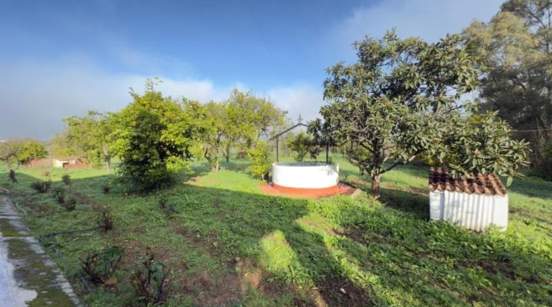 Huelva - Gibraleón - 32193m2