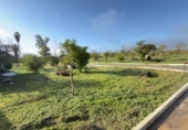 Detached villa with land for sale on España, Gibraleón, ref: TR219347 photo