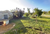 Detached villa with land for sale on España, Gibraleón, ref: TR219347 photo