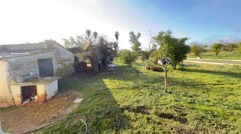 Huelva - Gibraleón - 32193m2