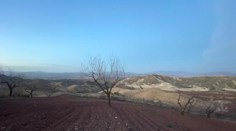 Murcia - Lorca - 250000m2