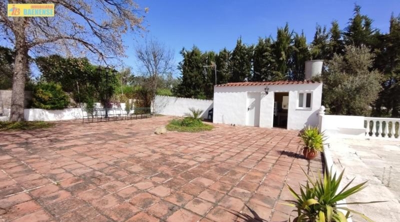 Córdoba - Baena - 18047m2