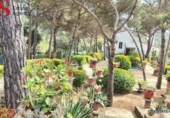 Casa de camp amb terreny en venda a la España, Maçanet de la Selva, ref.: TR137491 foto