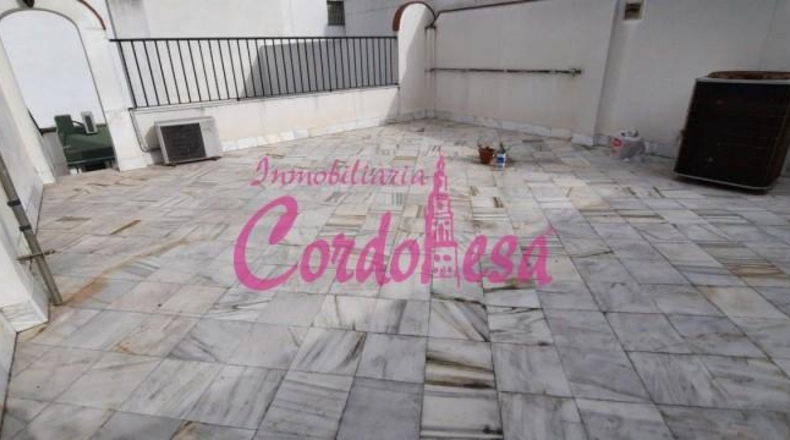 Cordova - Córdoba - 280m2