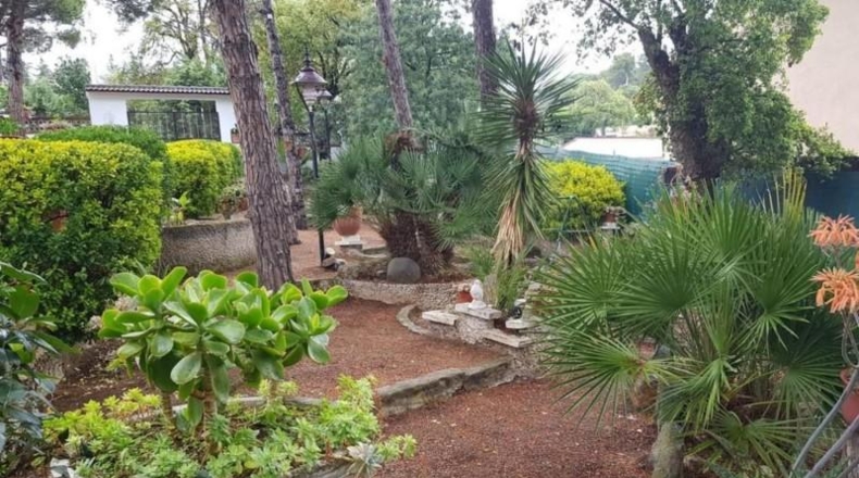 Gerona - Maçanet de la Selva - 1800m2