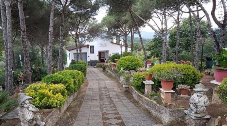 Gerona - Maçanet de la Selva - 1800m2