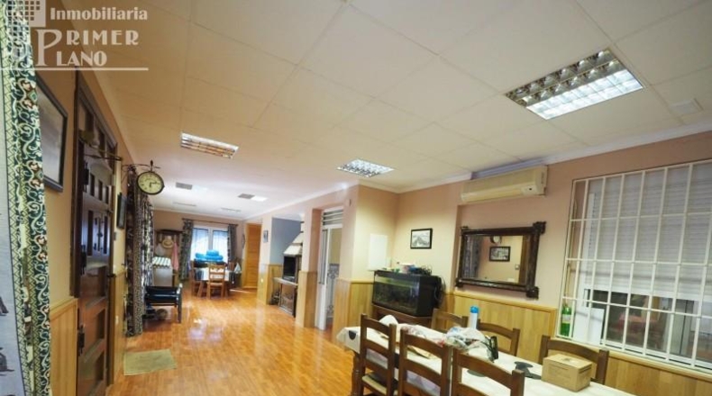 Ciudad Real - Tomelloso - 46950m2